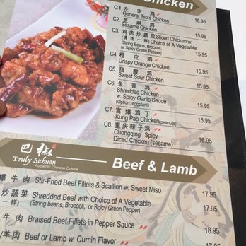Truly Sichuan - Szechuan Near Me - Ridgewood, New Jersey