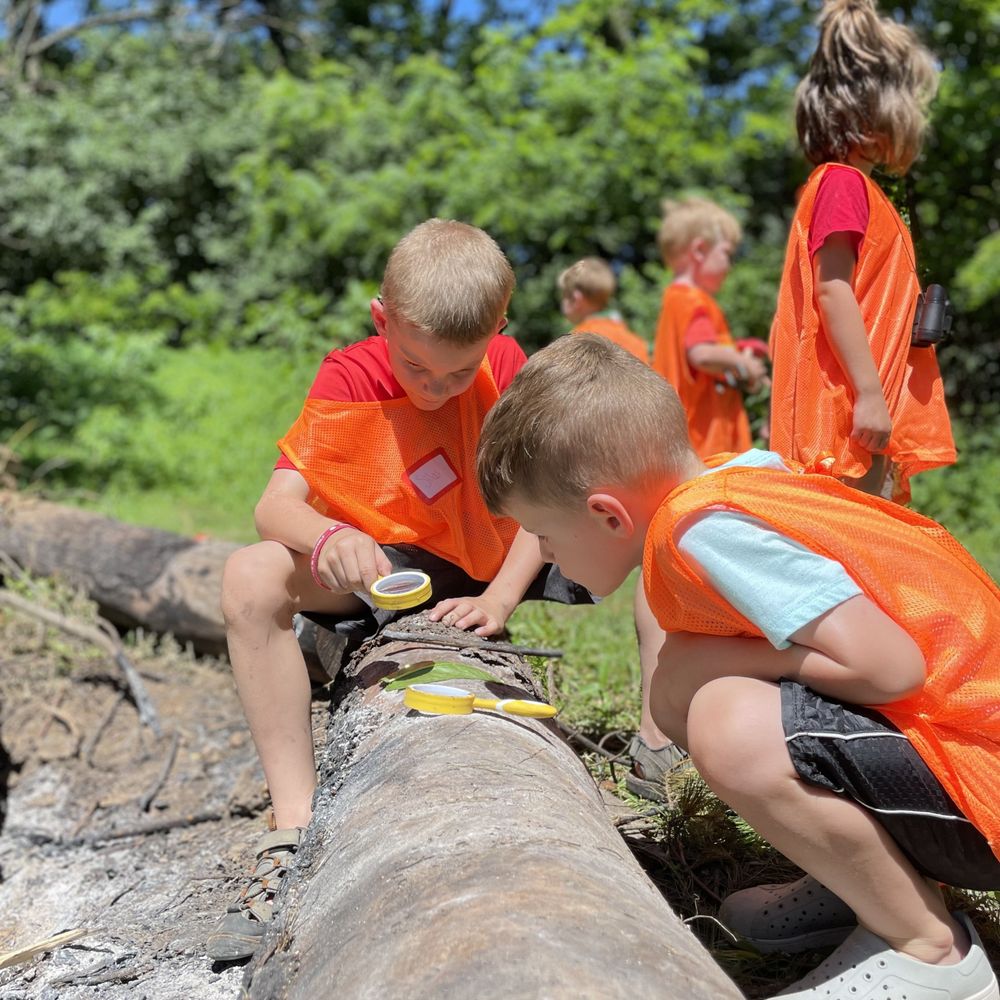 Evergreen Nature School - childcare center in Lexington, KY