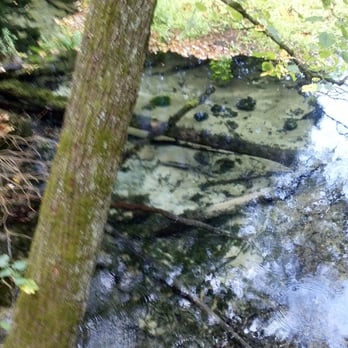 Donald County Park - Clear and clean water - Parks Near Me - Mount Horeb, Wisconsin