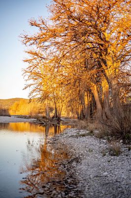 FRIO PECAN FARM LOG CABINS & RV PARK - Updated January 2026 - 144 Red