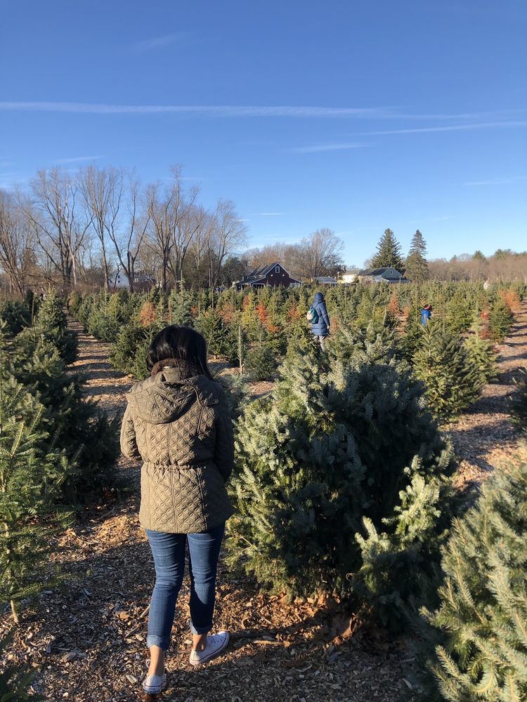 MISTLETOE ACRES 296 Whitman St, East Bridgewater, Massachusetts
