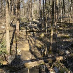Jones Mill Mountain Bike Trail - Dry creek