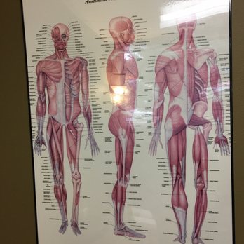 Priebe Chiropractic - Chiropractors Near Me - Hayden, Idaho Priebe Chiropractic - Chiropractors Near Me - Hayden, Idaho