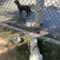 Montgomery Park - Padraic and Katie