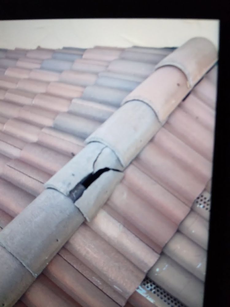 Slide of Lukas Pigeon Removal & Gutter Cleaning