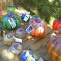 Photo of Glass Pumpkin Harvest