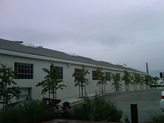 Minnesota Street Project by null