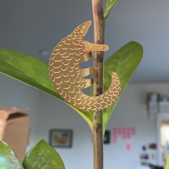 Floral Art And Decor - Plant friends - Floral Designers Near Me - Burlingame, California Floral Art And Decor - Plant friends - Floral Designers Near Me - Burlingame, California