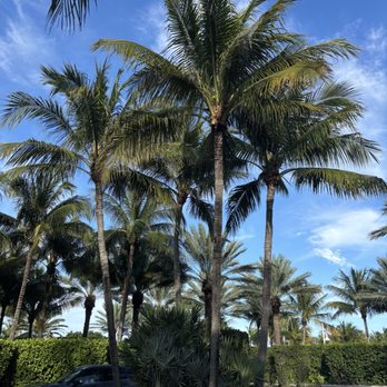 Oceans Edge Resort & Marina - Hotels Near Me - Key West, Florida