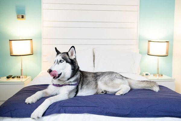 Canalside Inn by null