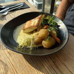Bryggeriet - Daily Catch