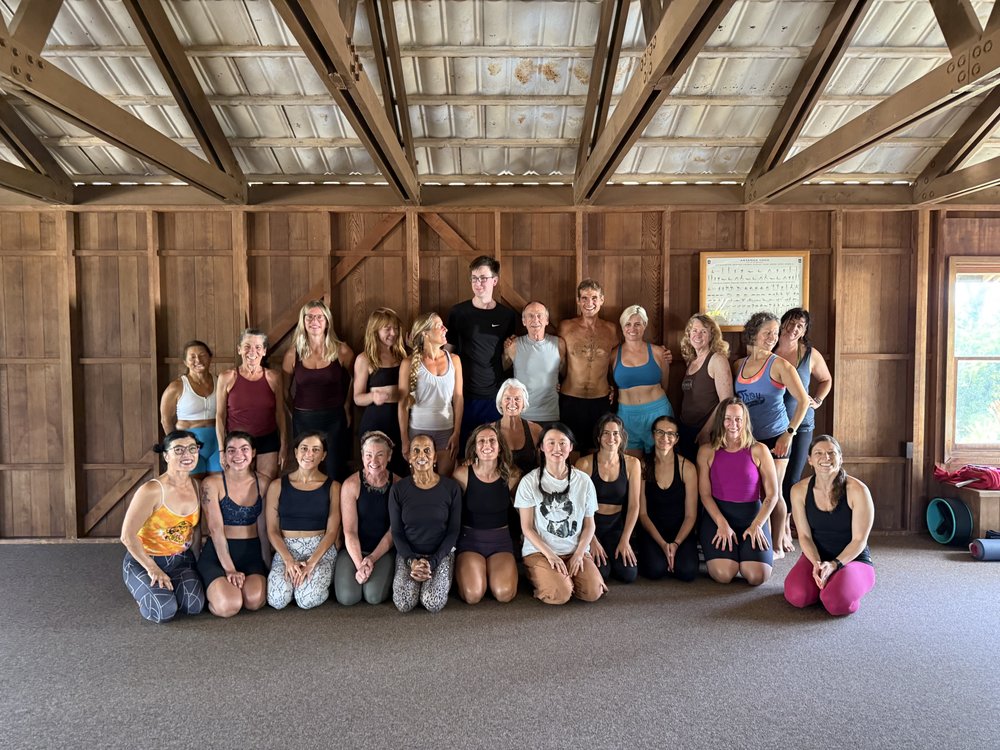 House of Yoga and Zen Logo