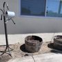 Ethos Gardening