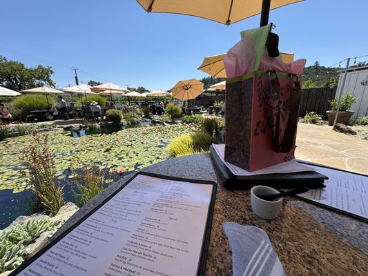 Salt & Stone by null