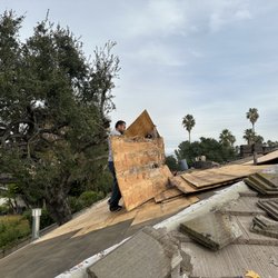 Born 2 Roof - Plywood meets the roof, Guarding homes, a timeless shield, Legacy preserved.