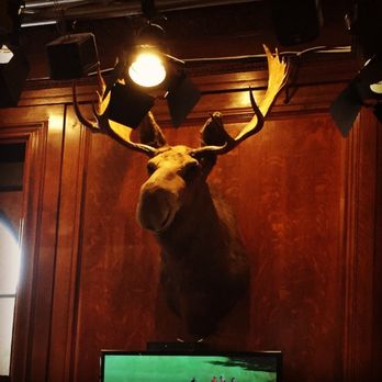 Cheers - Dave the Moose! - American Near Me - Boston, Massachusetts Cheers - Dave the Moose! - American Near Me - Boston, Massachusetts