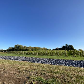 Strigo Vineyards - The vineyard. - Wine Tasting Room Near Me - Baldwinsville, New York