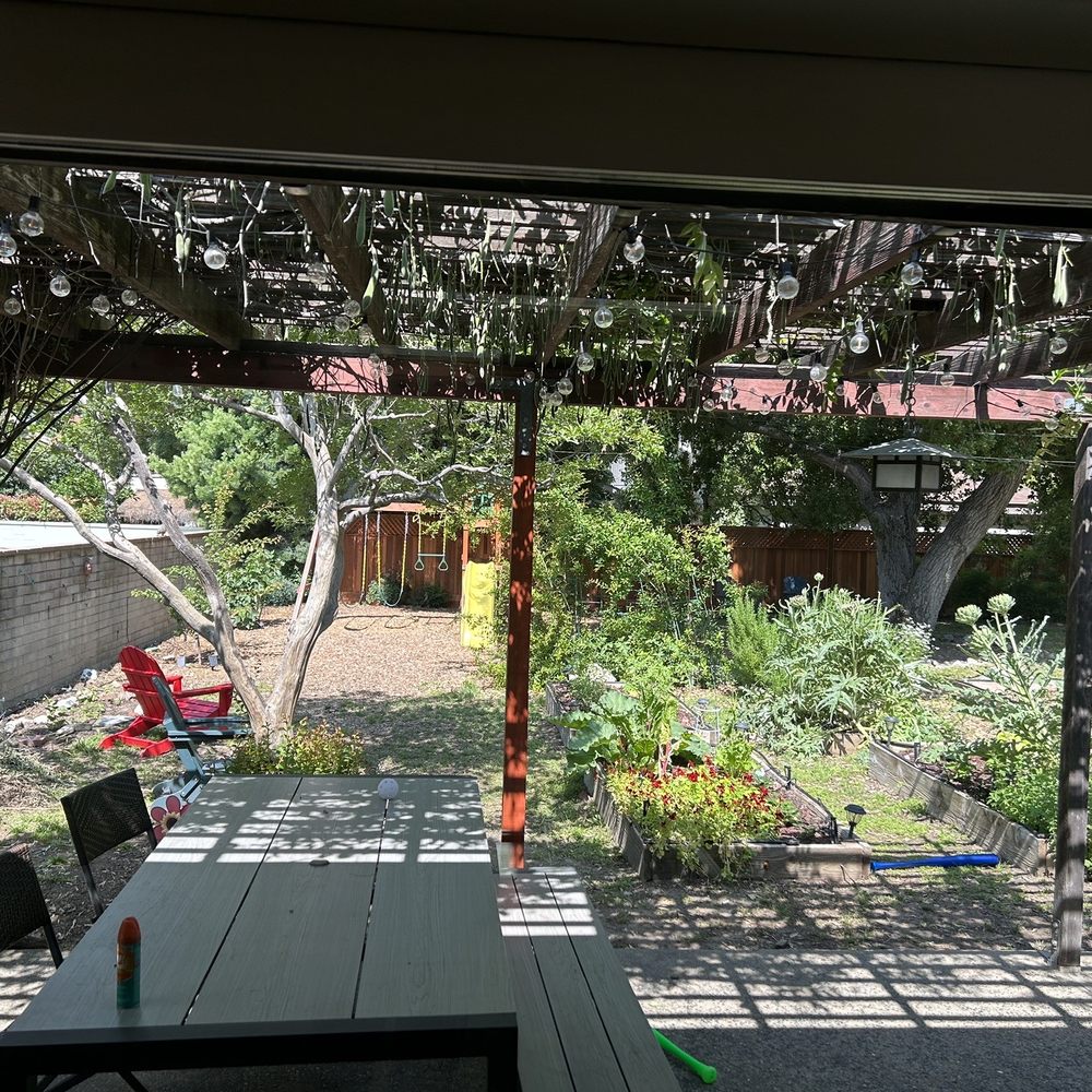 Green Ivy Maintenance - Before :/ - Landscaping Near Me