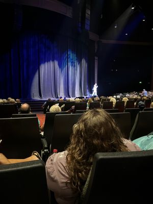 The Carolina Opry Theater by null