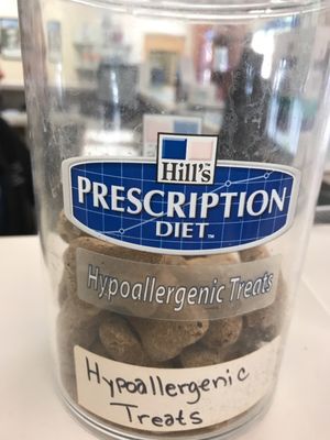 vca winchester animal hospital