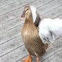 Photo of Matagorda County Birding Nature Center