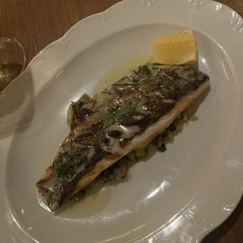 Casadonna - Mediterranean Branzino - Italian Near Me - Miami, Florida Casadonna - Mediterranean Branzino - Italian Near Me - Miami, Florida