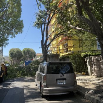 De Rosas Tree Trimming & More - Entire street being closed without a permit. Parking enforcement paid a visit. - Landscaping Near Me