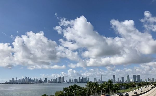 Big Bus Tours Miami by null