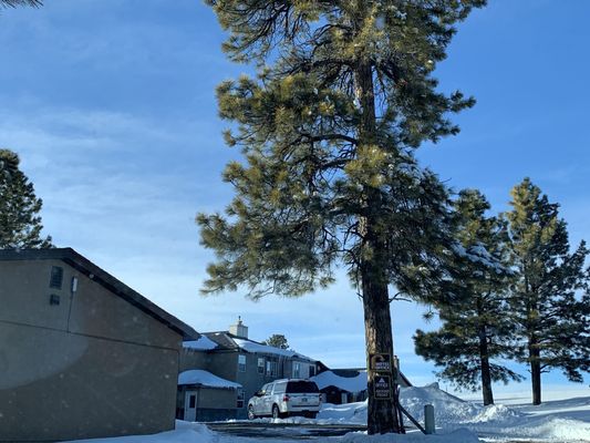 Bryce Canyon Pines Lodge by null