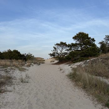 Cape Henlopen State Park - A walk to the beach. - Parks Near Me - Lewes, Delaware Cape Henlopen State Park - A walk to the beach. - Parks Near Me - Lewes, Delaware