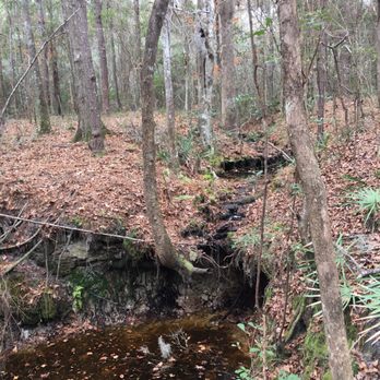 Mill Creek Preserve - Hiking Near Me - Alachua, Florida Mill Creek Preserve - Hiking Near Me - Alachua, Florida