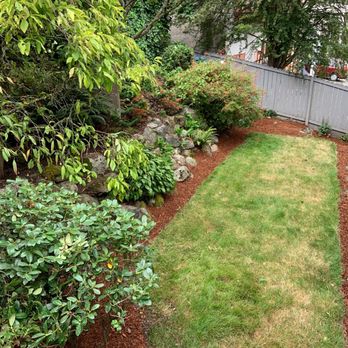 Daniel's Tree Service & Landscaping - After - Tree Services Near Me Daniel's Tree Service & Landscaping - After - Tree Services Near Me