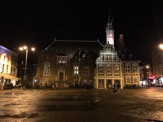 Town Hall Haarlem by null