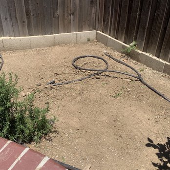Ortega's Jr Tree Service - After!  Can't even tell there was a tree there!  Amazing! - Tree Services Near Me - Riverside , California