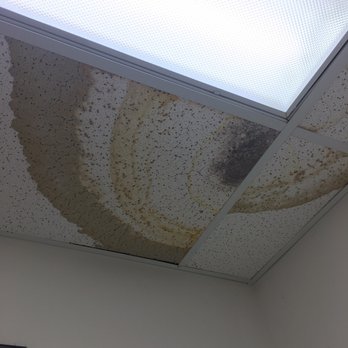 Abella Studios - Fix your bathrooms! You make so much profit that I'd expect more from your office. - Video/Film Production Near Me - Fairfield, New Jersey