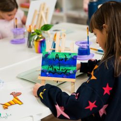Art Major Studios