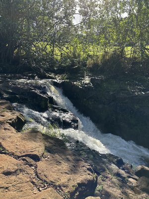 Ho'opi'i Falls by null