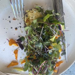 Avacado tartine