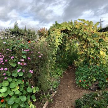 Wild Flour Bread - Their magical garden - Bakeries Near Me - Freestone, California Wild Flour Bread - Their magical garden - Bakeries Near Me - Freestone, California