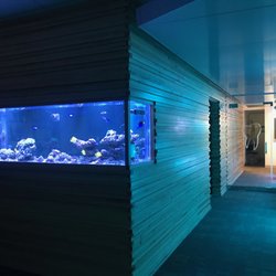 Groff Dental Studio - Check out our fish tank