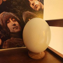 Shattered ostrich egg (& heart) restored! Shattered ostrich egg (& heart) restored!