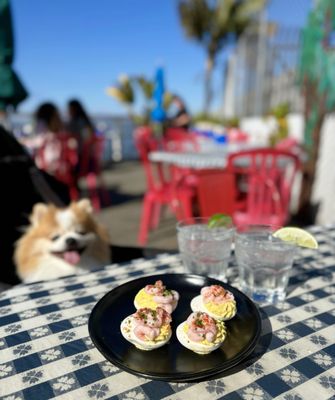 Pier 23 Cafe Restaurant & Bar by null