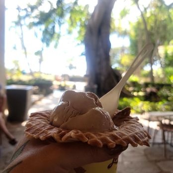 Lappert's Hawaii - Regular coffee. Delish - Ice Cream & Frozen Yogurt Near Me - Honolulu, Hawaii Lappert's Hawaii - Regular coffee. Delish - Ice Cream & Frozen Yogurt Near Me - Honolulu, Hawaii