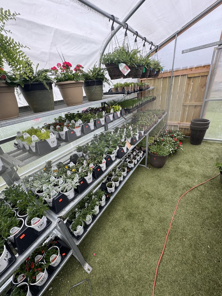 To Be Planted Greenhouse and Florals Logo