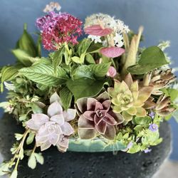 Maui Plant Delivery