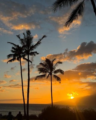 The Golden Eye by null