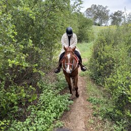 Malibu trail