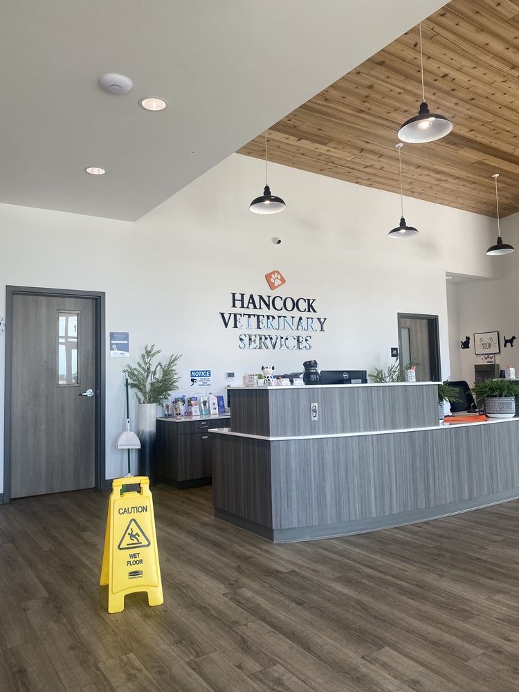 CareVet of Springdale - pet boarding facility in Springdale, AR