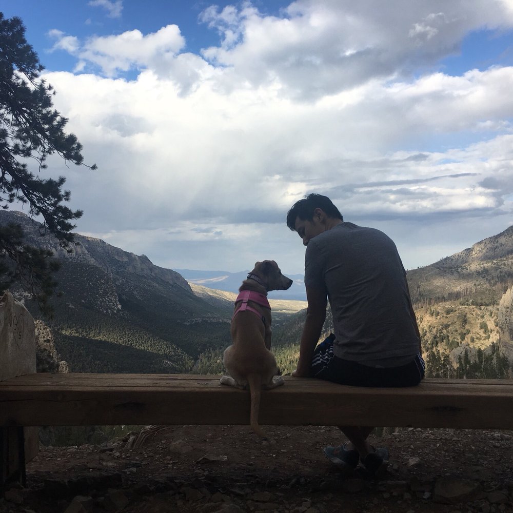 Cathedral Rock - Hiking Near Me - Mt Charleston, Nevada