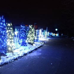 Zoo Lights